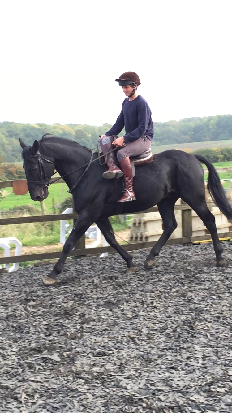Cos-Me-Is-Black-side-saddle.png