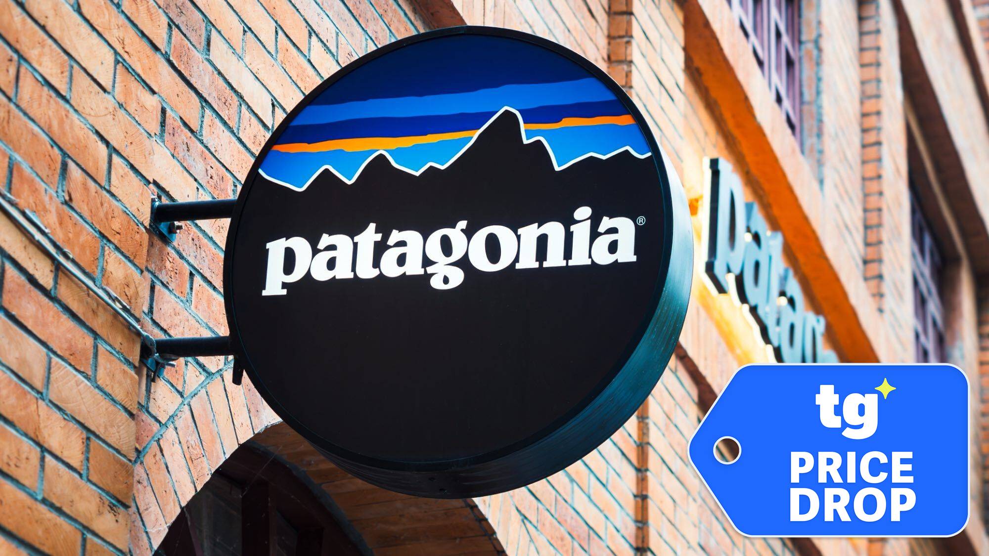 Patagonia store logo