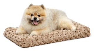best dog bed: MidWest Homes for Pets QuietTime Deluxe Pet Bed