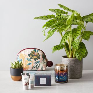 room with white wall and potted plant purse and cream