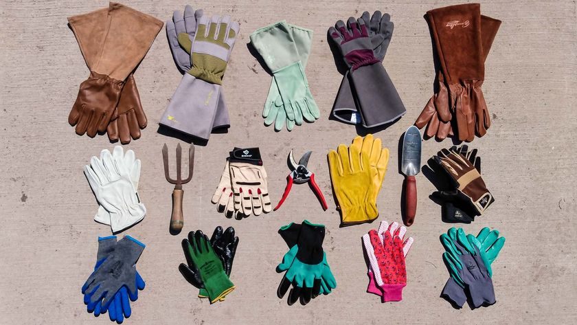 Best gardening gloves: