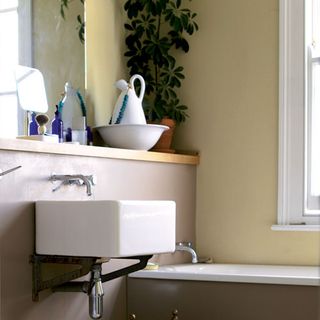 bathroom with bathtub and plant in pot