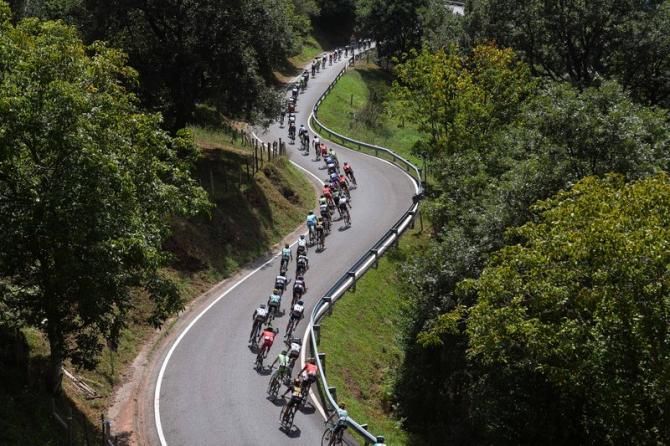 The peloton snakes its way along