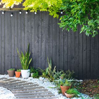 Garden with wooden black fence and curved boardwalk on white gravel