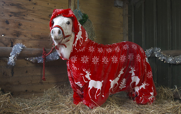 Onsie Trick Pony