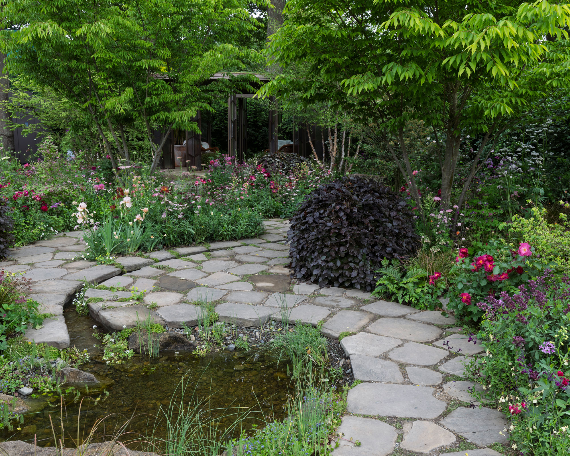 freeform pond design with gravel and pond plants with a stream running into it, crazy paving path leading to pergola, naturalistic planting, shrubs and trees