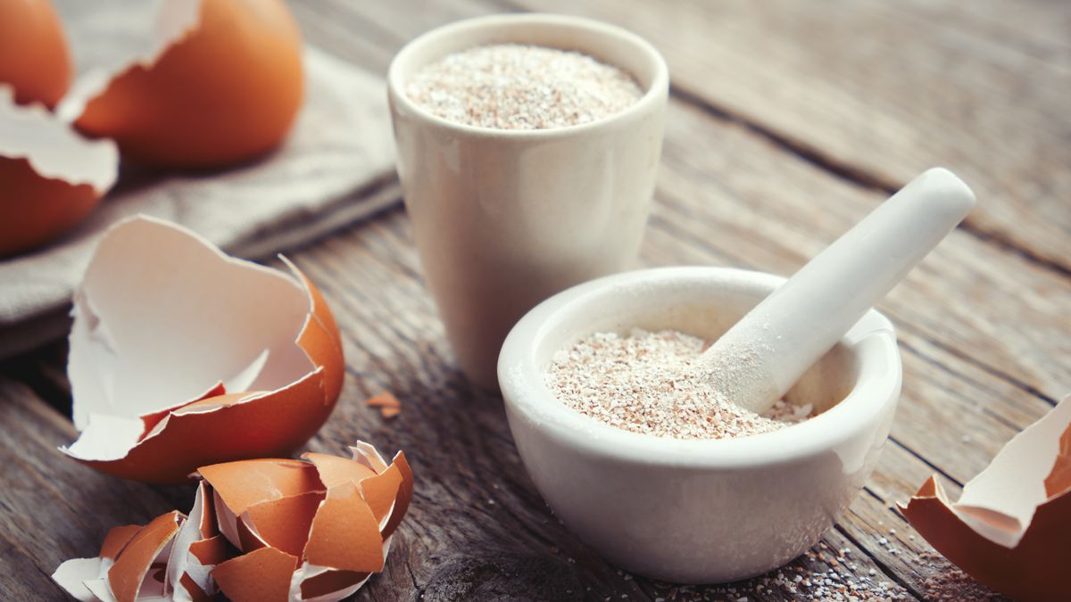 7 easy ways to make homemade fertilizer Tom's Guide