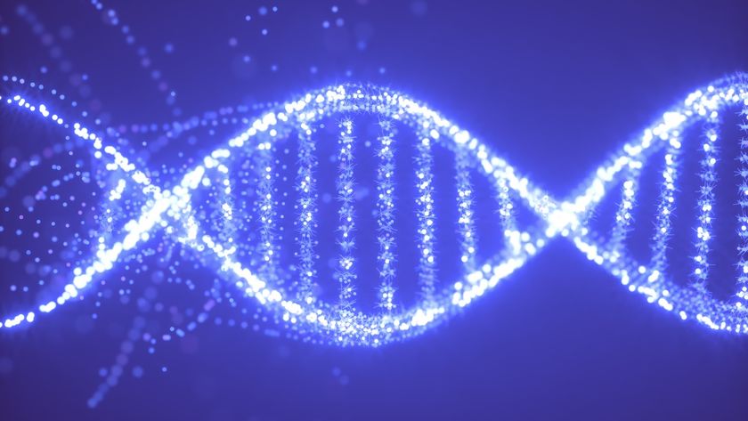 An illustration of DNA