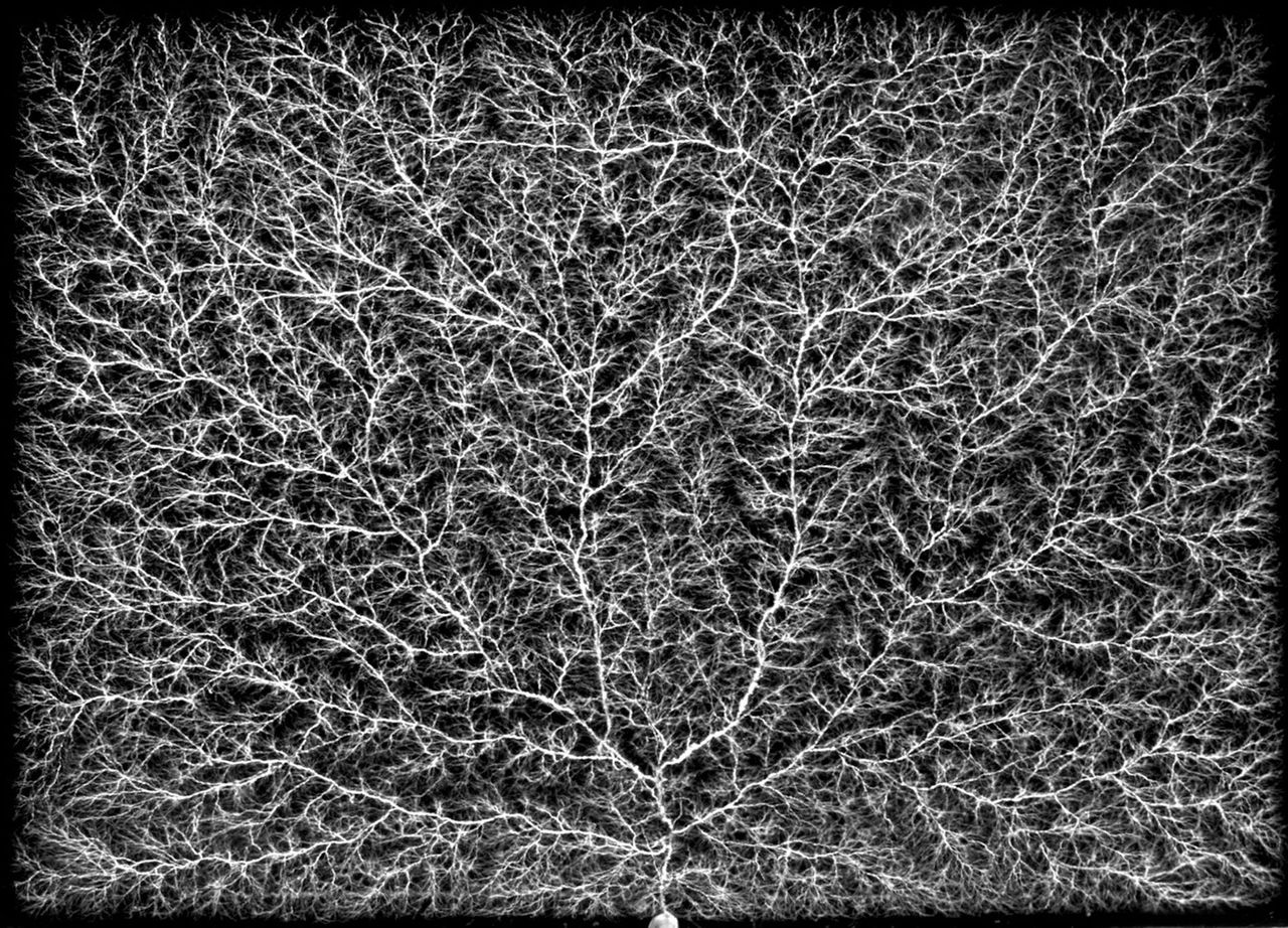 GuruShots - Monochrome Moments Jan 26
