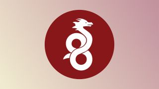 WireGuard VPN protocol logo, with white serpent inside a red circle