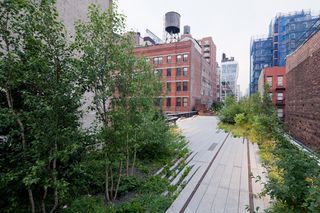 Chelsea Thicket (pictured) is a densely planted area of trees and shrubs between West 20th and West 22nd Streets