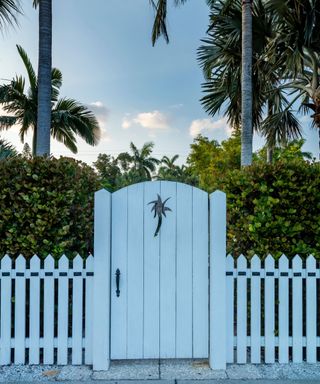 picket fence, gate, hedge and palm trees