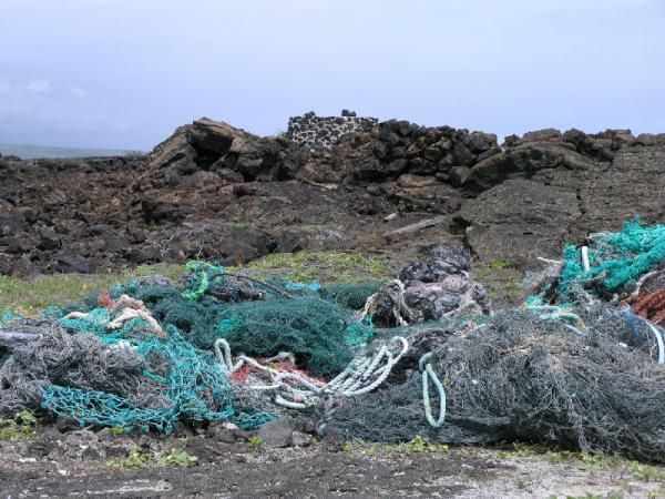 hawaii-marine-debris-110601