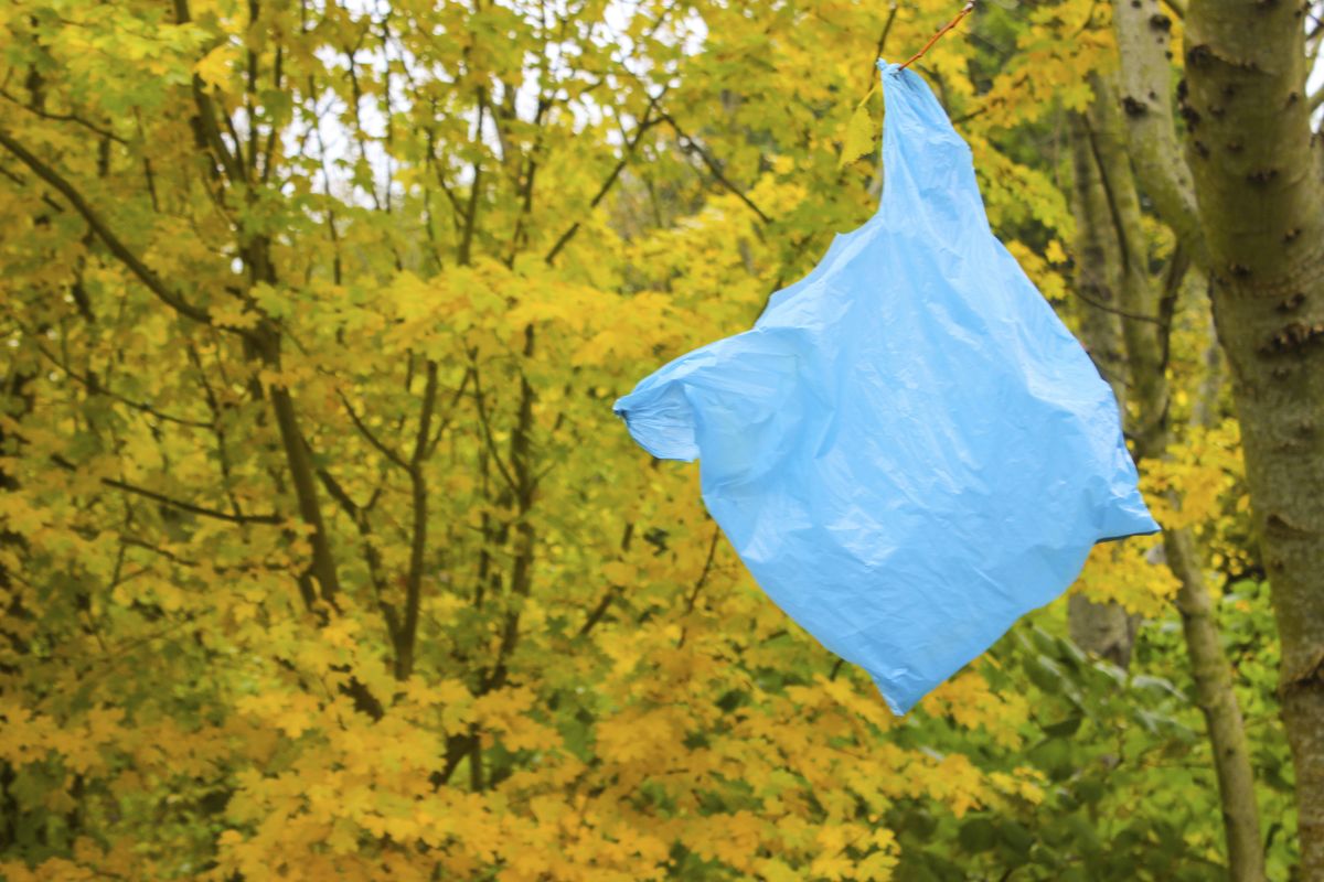Throwing away plastic bags is a lot worse for the environment than you