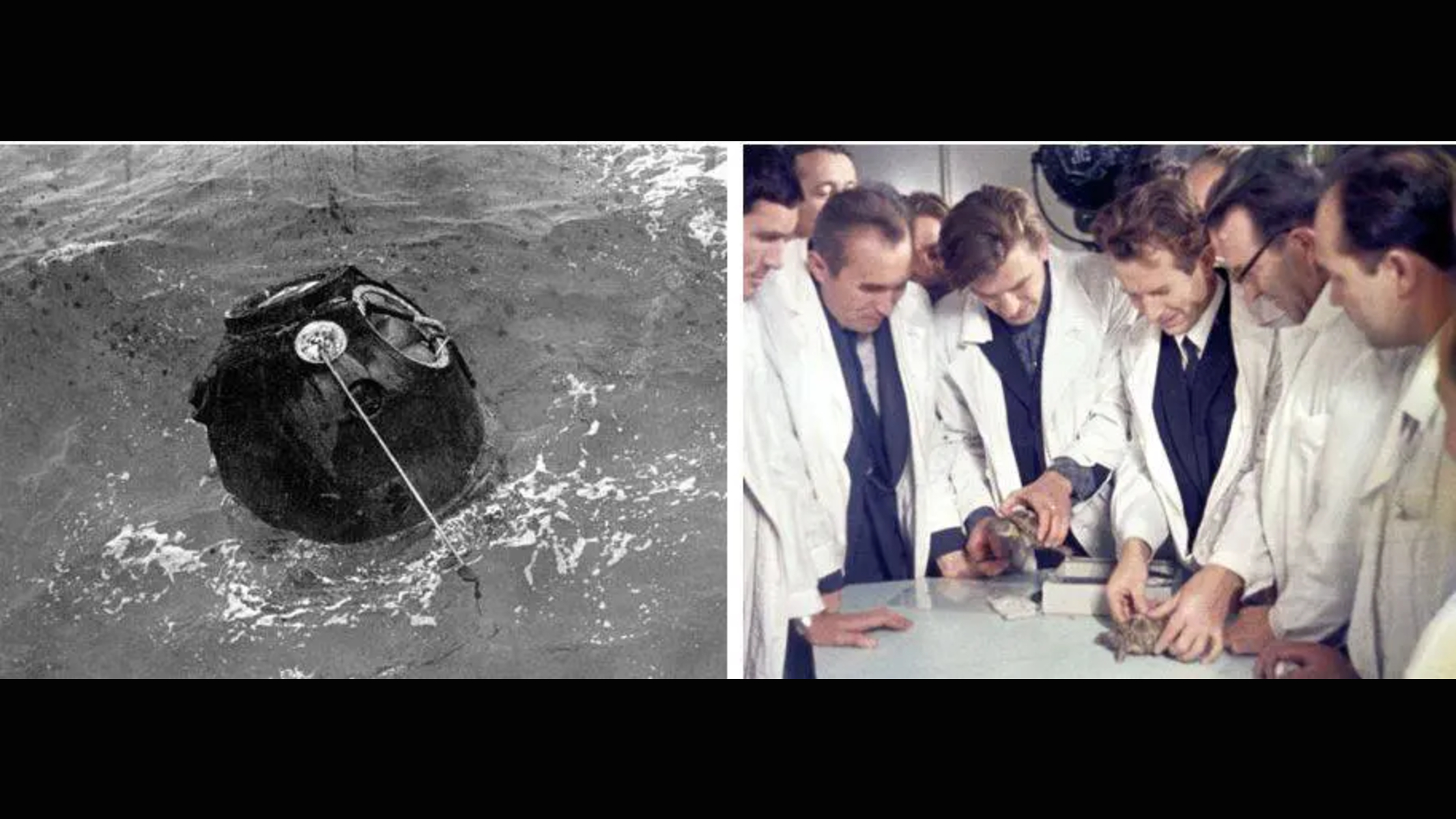 The Soviet Zond 5 rentry capsule in the ocean (left), Soviet scientists measure Zond 5 tortoises after their circumlunar flight in September 1968.