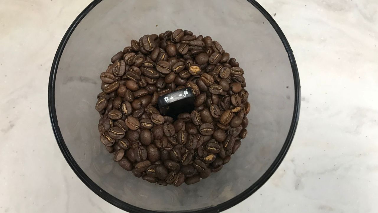 OXO Conical Burr Coffee Grinder Review for the best value Homes