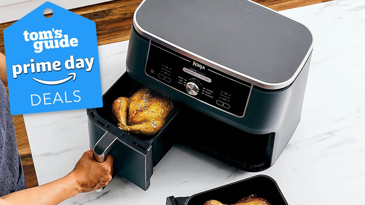 Save over $100 on Ninja's 10-qt. 6-in-1 dual basket air fryer at