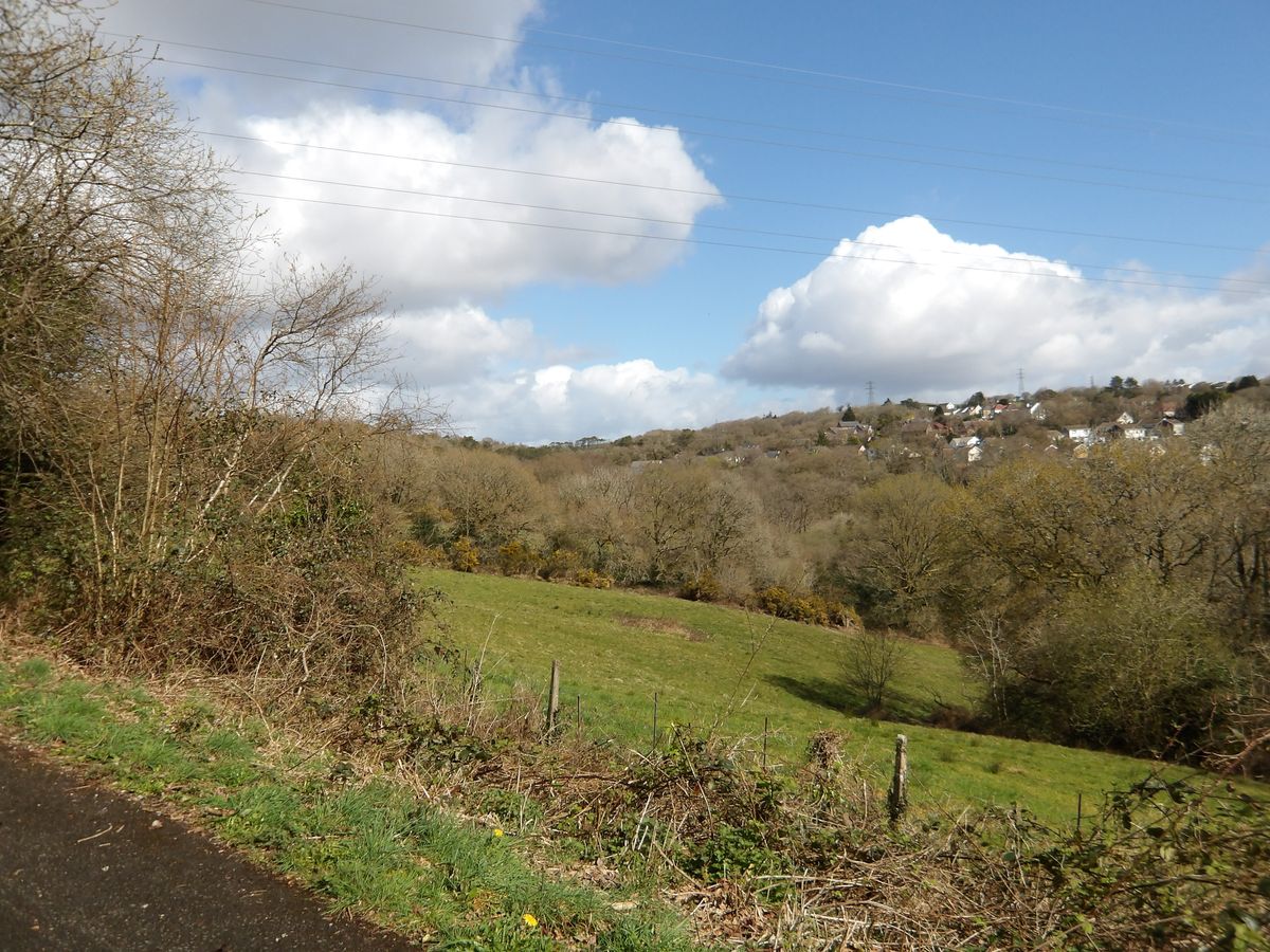 Images taken using the Pentax WG-1000 to demonstrate zoom capabilities.