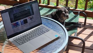 The Dell XPS 15 (9520) on a table outside with a dog nearby