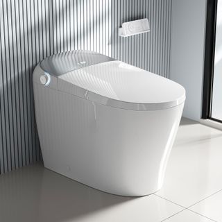 Japan's Smart Toilet