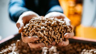 biomass boiler wood pellet fuel in hands