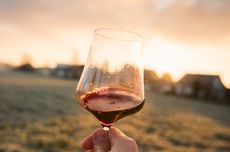 light-bodied italian red wine