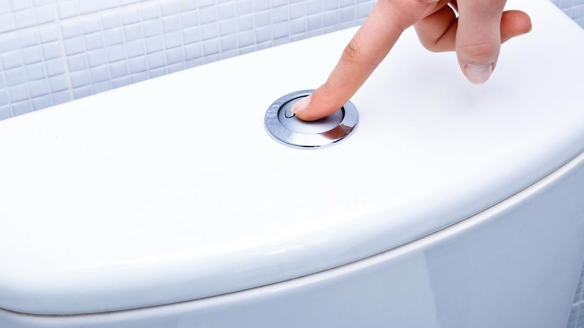 How To Fix A Running Toilet With A Button Flush A DIY Guide TrendRadars