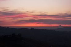 Piedmont new releases