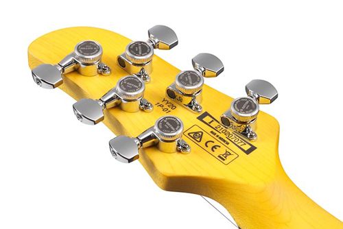 Ibanez YY20
