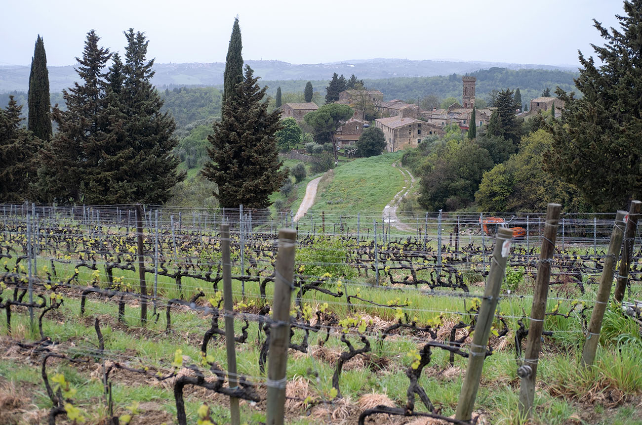 Chianti Classico Riserva Vineyard overlooking Isole_ credit Lincoln Clarkes