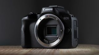 Canon has retained its title as number 1 brand for interchangeable-lens digital cameras
