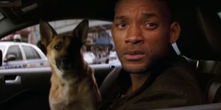 Will Smith and his sole canine companion, Sam, in I Am Legend