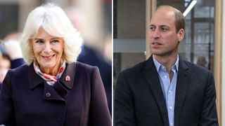 Composite of a picture of Queen Camilla in 2024 and Prince William in 2023
