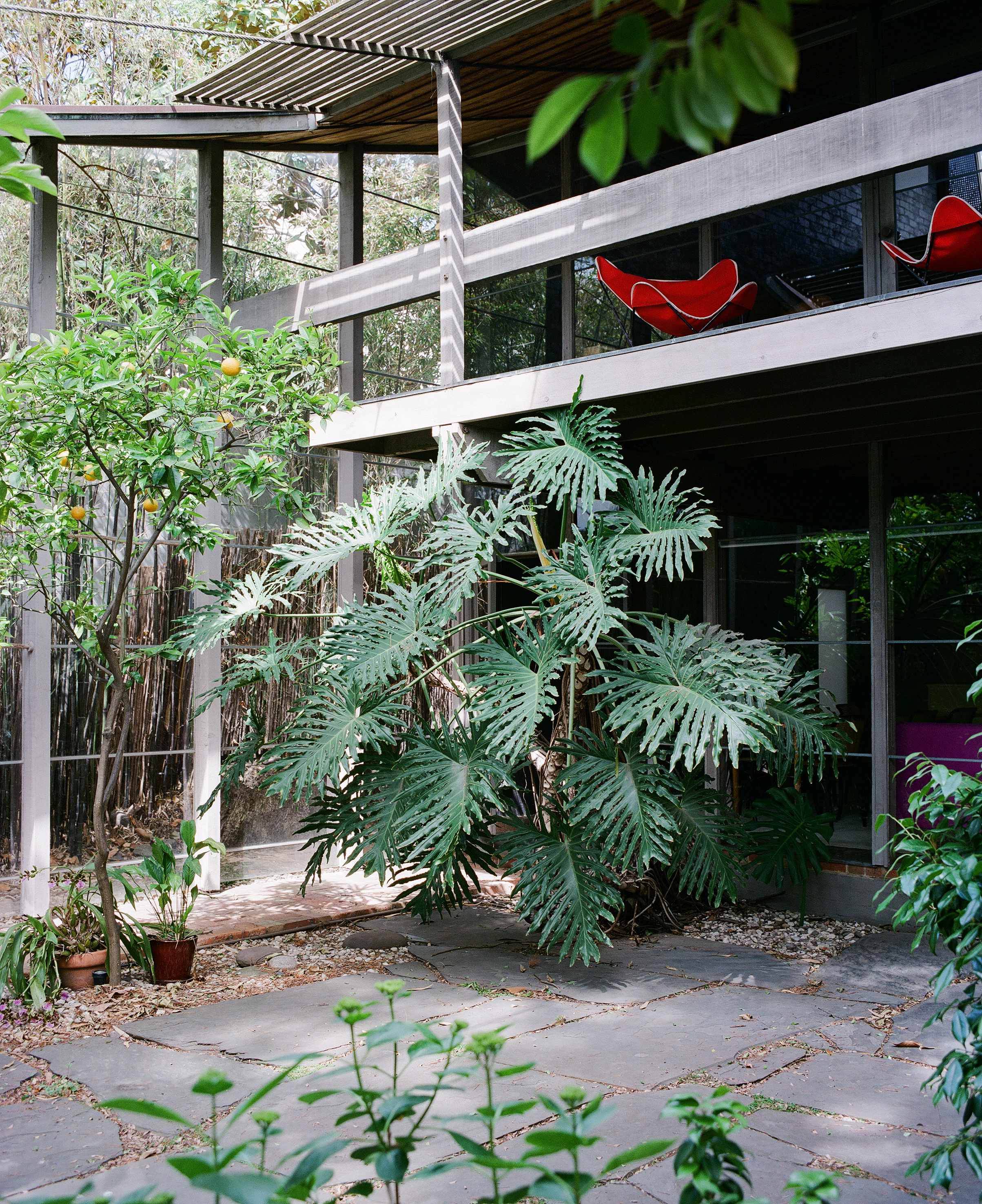 Melbourne design week Robin Boyd Walsh Street Photography