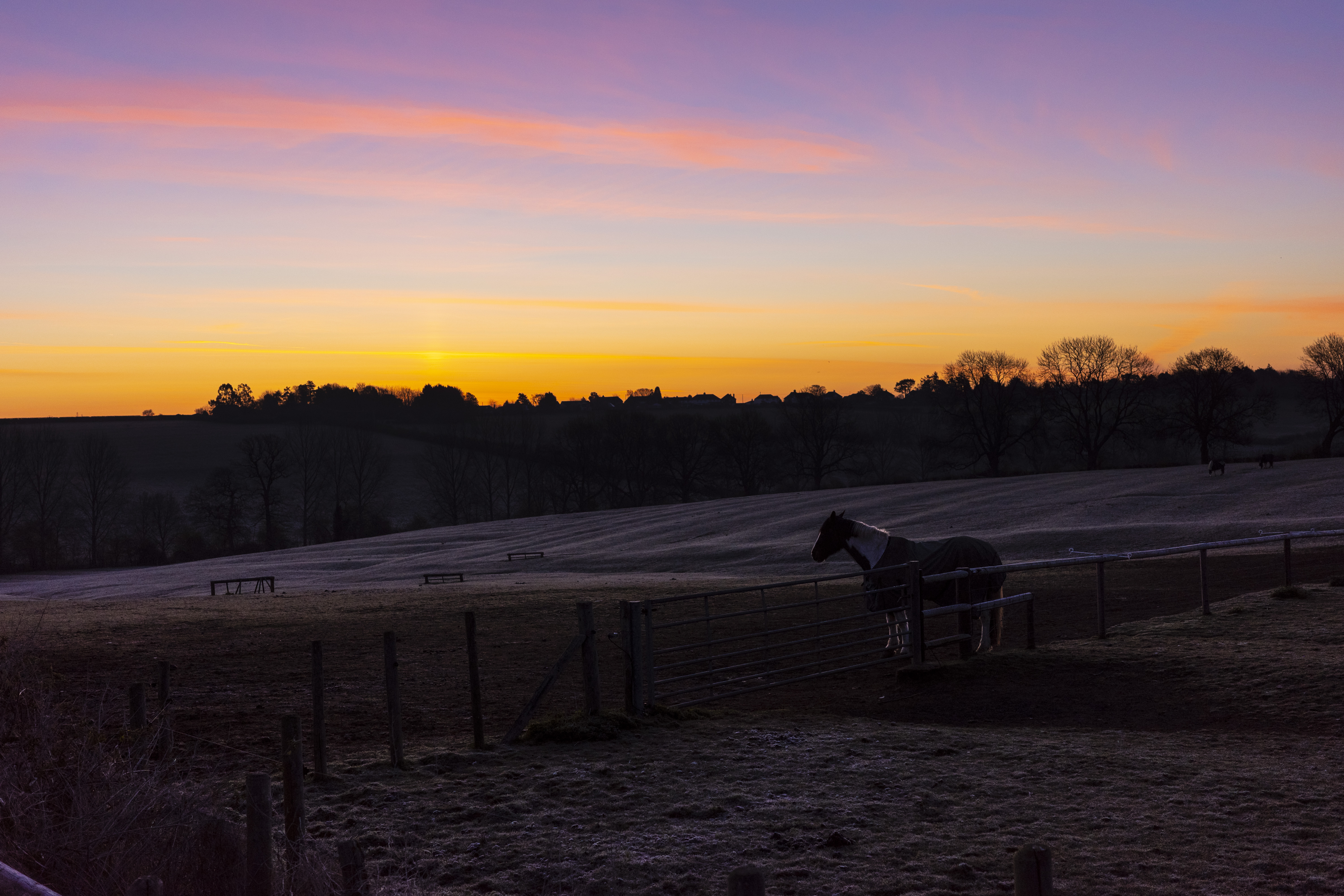 A sunset over a horse and field