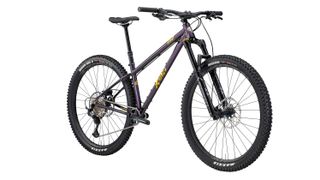 Hardtails are lighter and simpler than full-suspension mountain bikes
