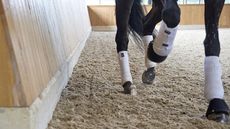US dressage rider, trainer and author Jane Savoie, who passed away in December 2020, explains what the half halt is, why it is useful and most importantly, how to ride it The half halt is an essential part of every rider&rsquo;s tool kit.