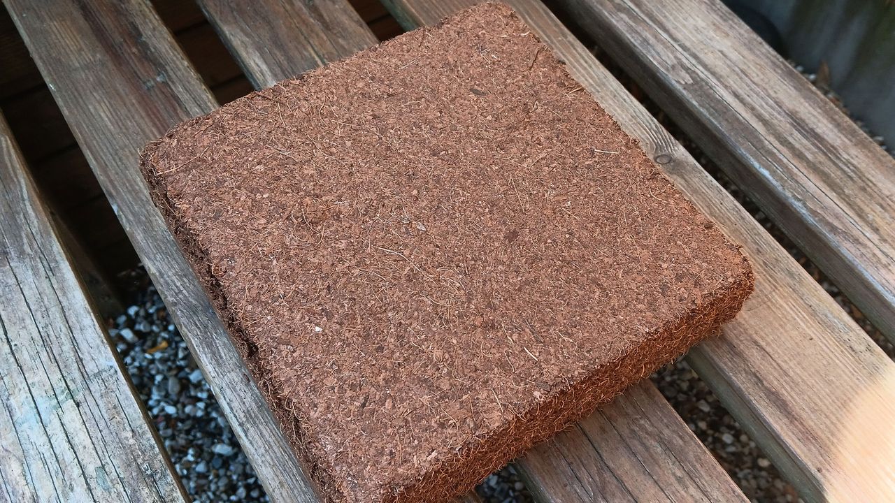 Coir compost