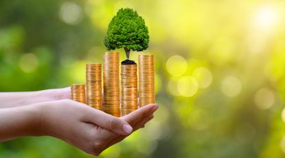 A hand carrying stacks of coins with a tree growing out of them