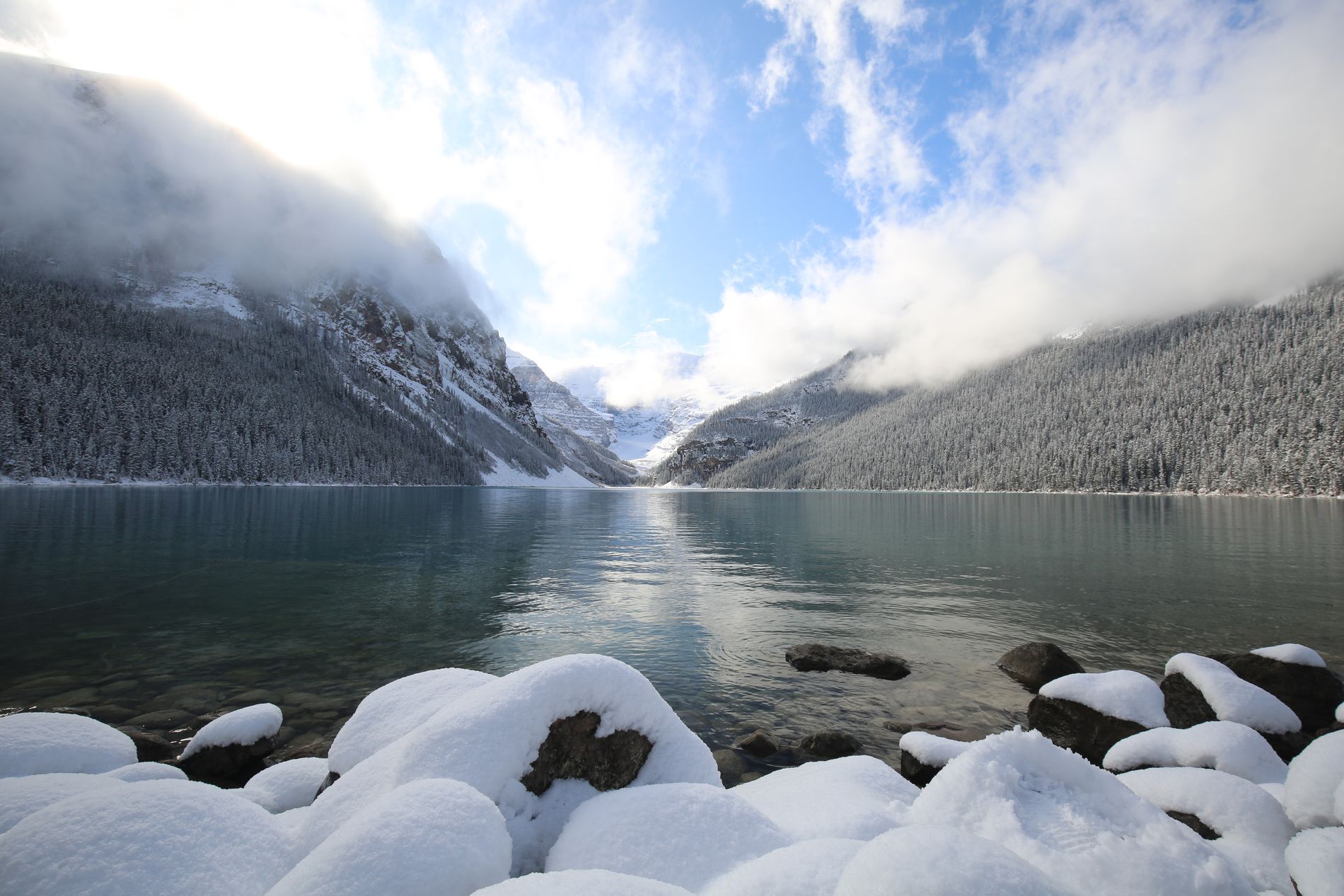 GuruShots - February 2026