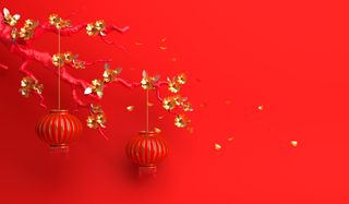 Red gold sakura flower and branch, cherry blossom, chinese lantern lampion. Design creative concept of chinese festival celebration gong xi fa cai.