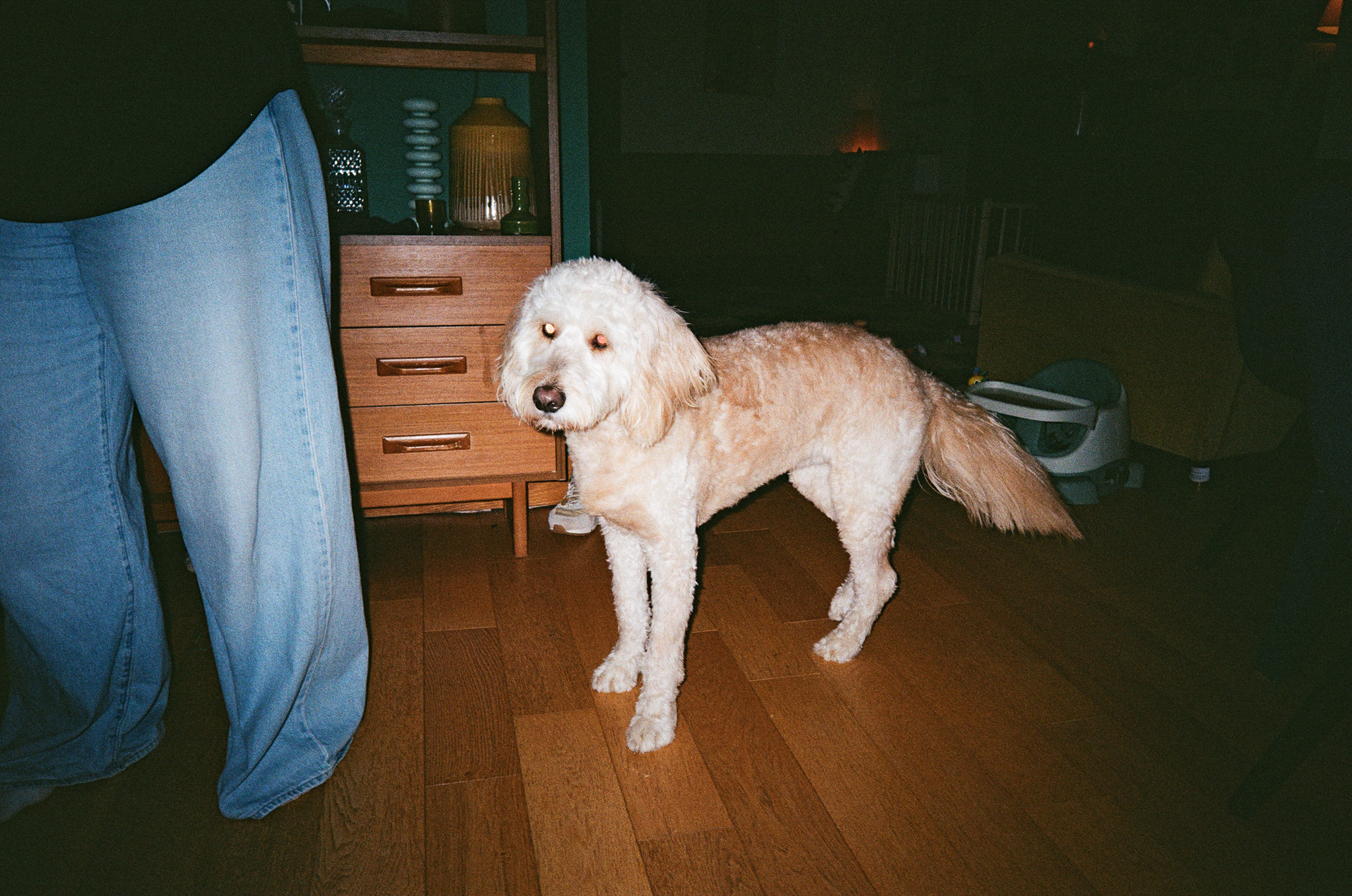 Kodak Snapic A1 sample photo