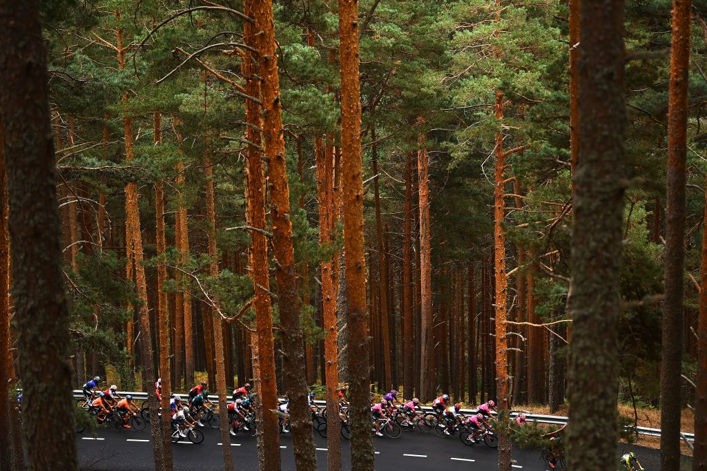 NAVACERRADA SPAIN SEPTEMBER 10 A general view of tha wooded area at the Puerto de Navafra 1765m during the 77th Tour of Spain 2022 Stage 20 a 181km stage from Moralzarzal to Puerto de Navacerrada 1851m LaVuelta22 WorldTour on September 10 2022 in Puerto de Navacerrada Spain Photo by Tim de WaeleGetty Images