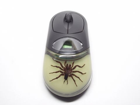 The weirdest PC mice | PC Gamer