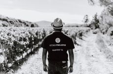 Tselepos_Harvest_2022.jpg