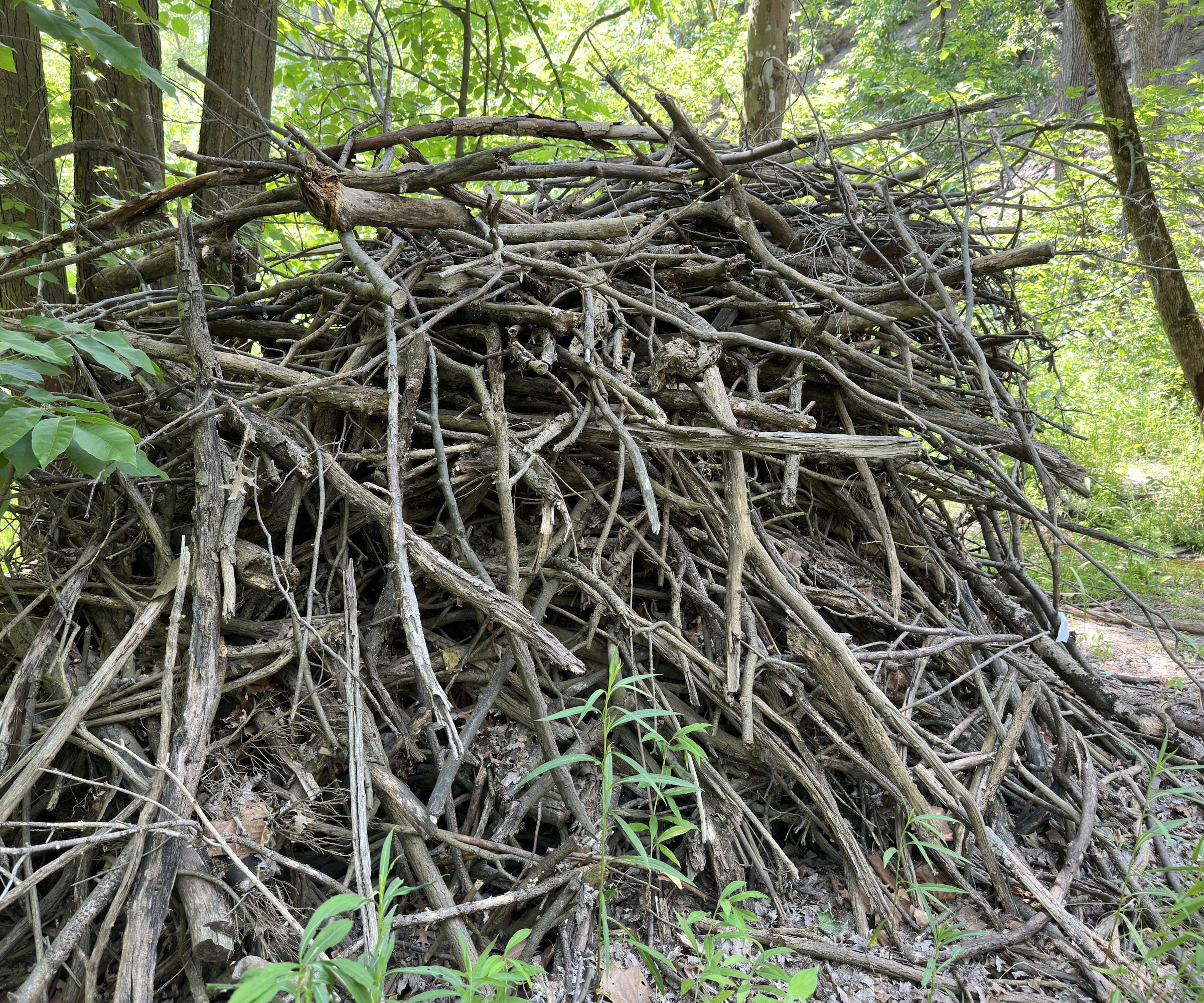 Wildlife shelter