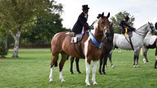 RIHS ladies&rsquo; hunter championship