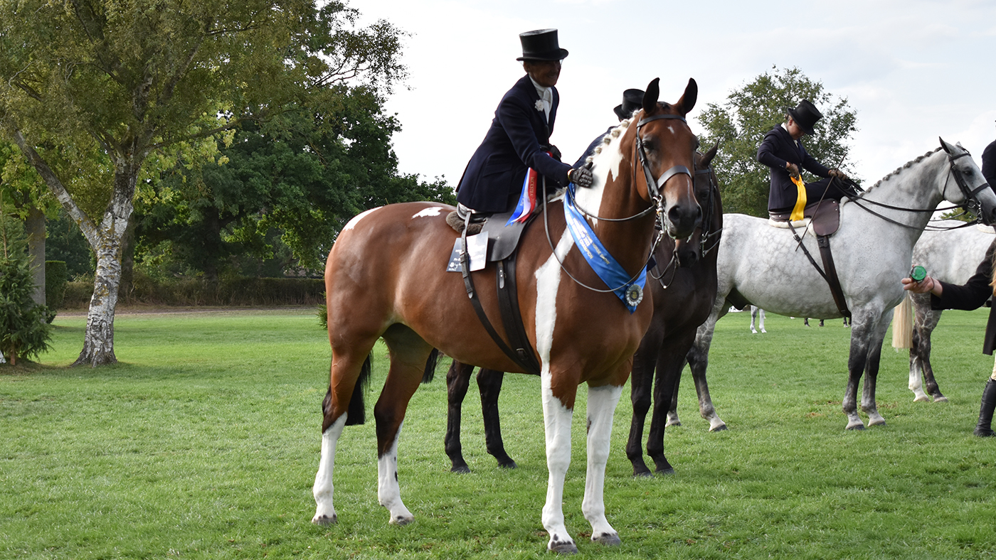 RIHS ladies&amp;rsquo; hunter championship