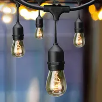 Hampton Bay Indoor/Outdoor Edison Bulb String Lights