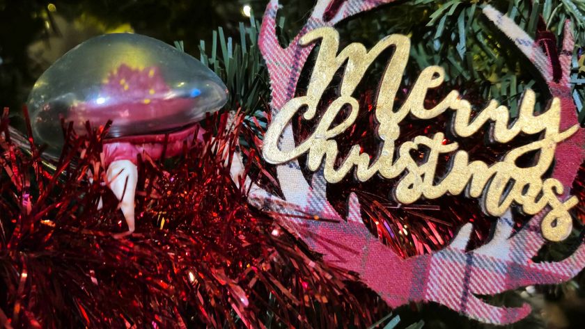 Photo of an official Metroid toy sitting on the branch of a Christmas tree, with a decoration that reads &#039;Merry Christmas&#039; to its side.